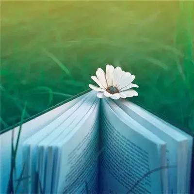 极品主公变态版下载