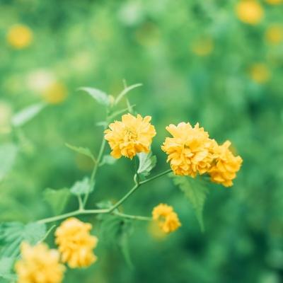 勇闯地下城中文破解版下载